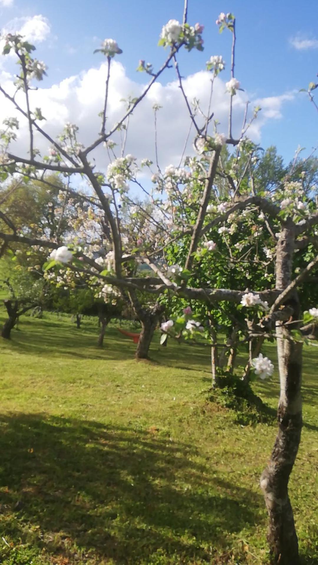 Trivigno Il Gelso旅馆 外观 照片